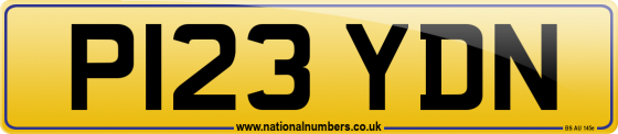 P123 YDN