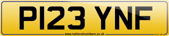 P123 YNF