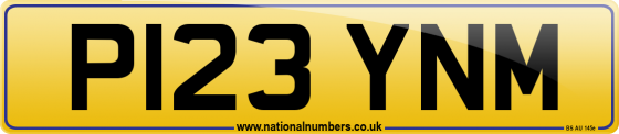P123 YNM