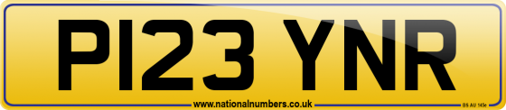 P123 YNR