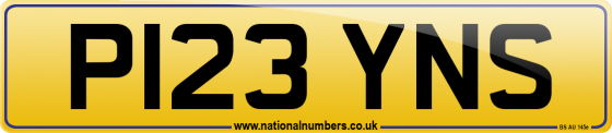 P123 YNS