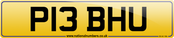 P13 BHU
