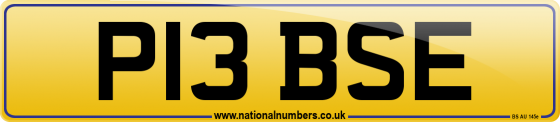 P13 BSE