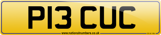 P13 CUC