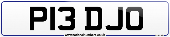 P13 DJO