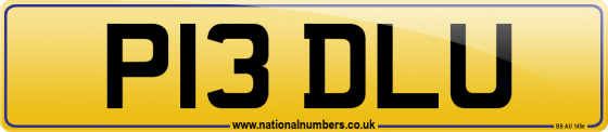 P13 DLU