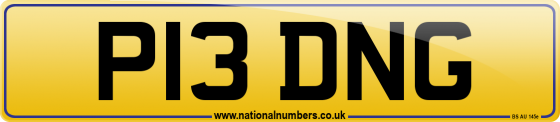 P13 DNG