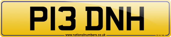 P13 DNH