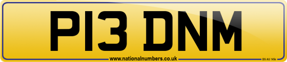 P13 DNM
