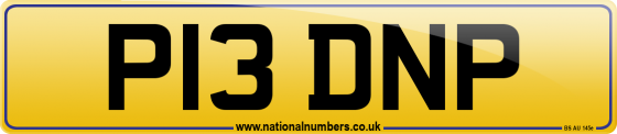 P13 DNP