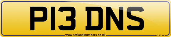P13 DNS