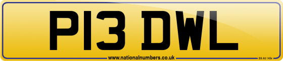 P13 DWL