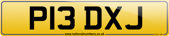 P13 DXJ