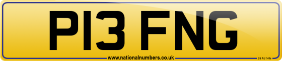 P13 FNG