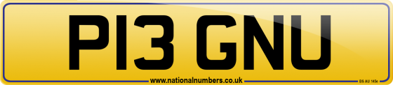 P13 GNU