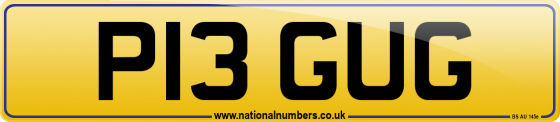 P13 GUG
