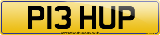 P13 HUP