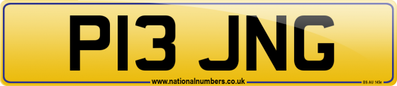 P13 JNG
