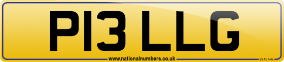 P13 LLG