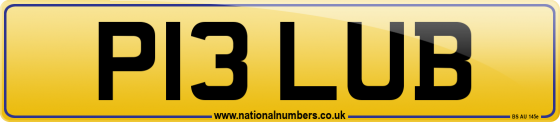 P13 LUB