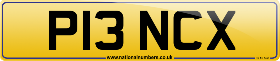 P13 NCX