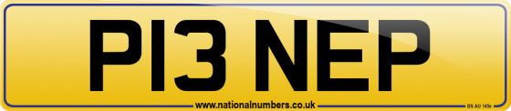 P13 NEP