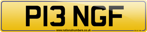 P13 NGF