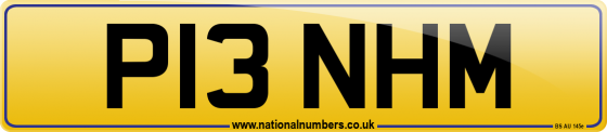 P13 NHM