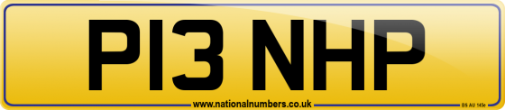 P13 NHP