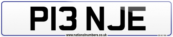 P13 NJE