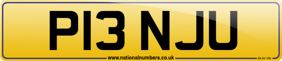 P13 NJU
