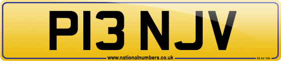 P13 NJV