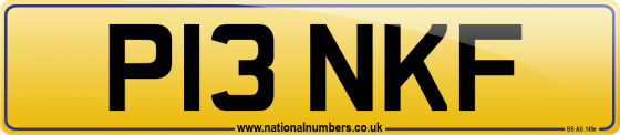 P13 NKF