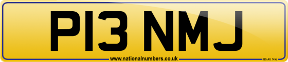 P13 NMJ