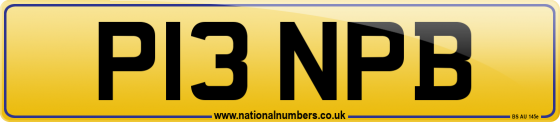P13 NPB