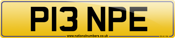 P13 NPE