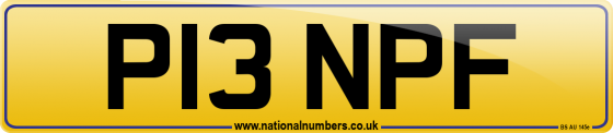 P13 NPF
