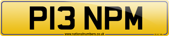 P13 NPM