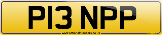 P13 NPP