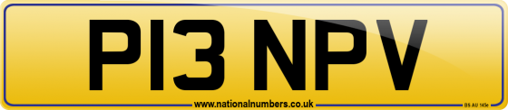 P13 NPV
