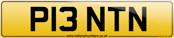 P13 NTN