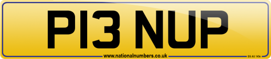 P13 NUP