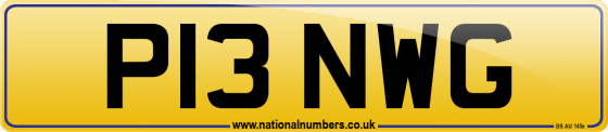 P13 NWG