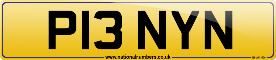 P13 NYN
