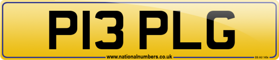 P13 PLG