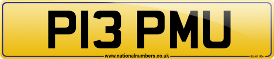 P13 PMU
