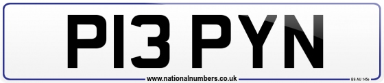 P13 PYN