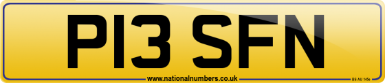 P13 SFN