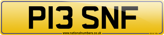 P13 SNF