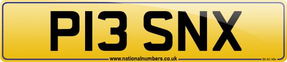 P13 SNX